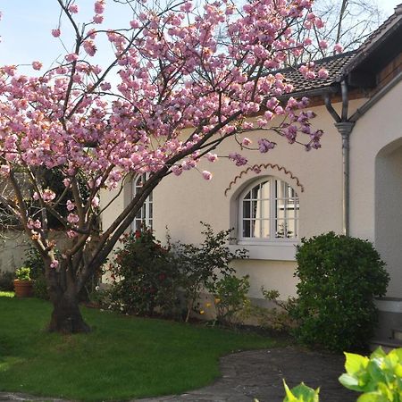 Maison D'Hotes Paris Riverside Saint-Maur-des-Fosses Ngoại thất bức ảnh