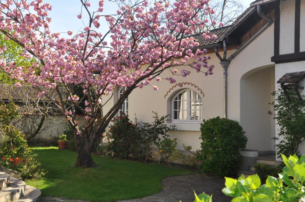 Maison D'Hotes Paris Riverside Saint-Maur-des-Fosses Ngoại thất bức ảnh